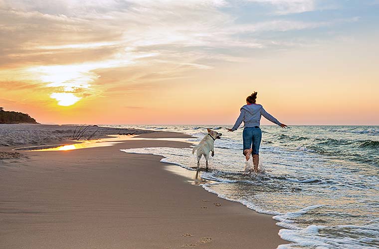 Urlaubsorte am Ostseestrand für den Urlaub mit Hund.